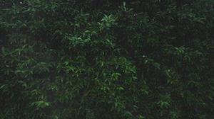 好學向上