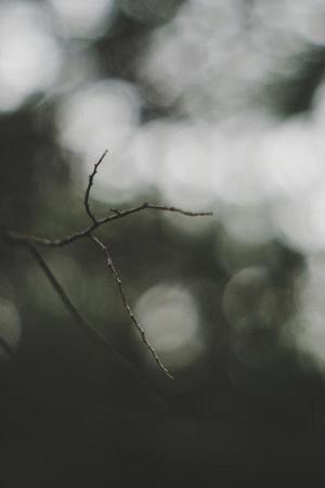 糖果繽紛