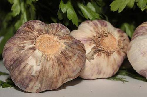 中華娛樂彩票安全信譽(yù)