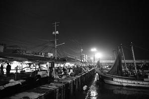 彈涂魚