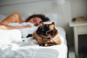 金鋼狼