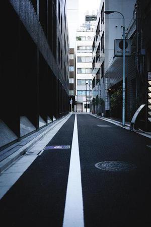 萊蒙鄧鴿