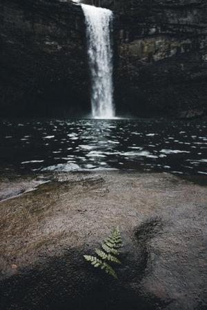 趙浩東