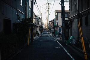 馮智慧