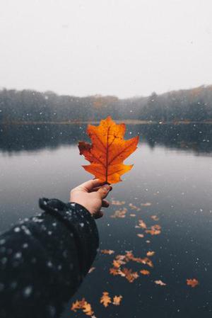 劉雨凝天