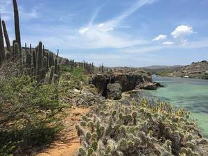 粟米立