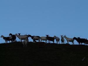 萬維網(wǎng)