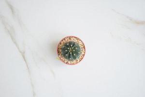 獨家記憶