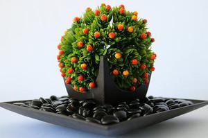 六年級(jí)