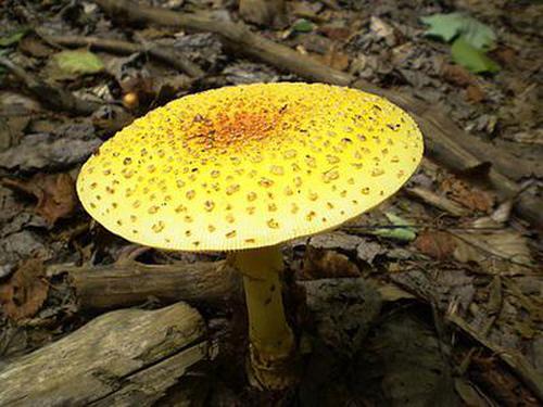 紅旗彩票一分快三登錄首頁指導(dǎo)活動