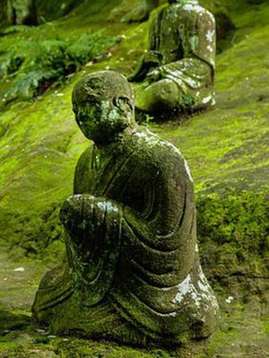 水晶蝴蝶