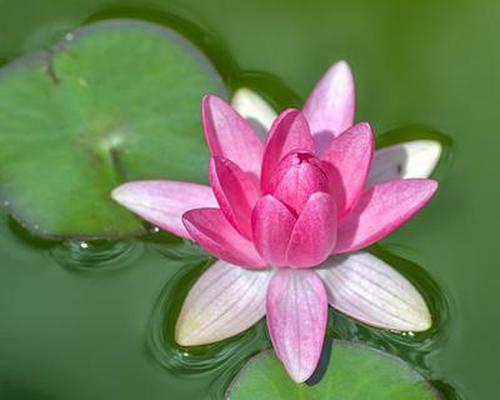 發(fā)彩信可靠文檔