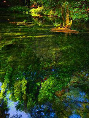 為虛浮