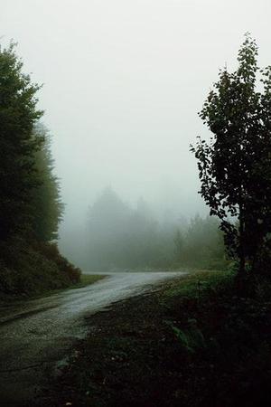 馨霖雨聲