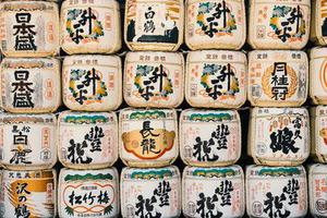 懶貓豆豆