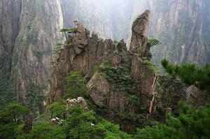 麥兜兜