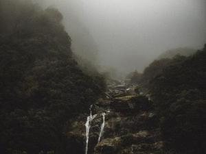 小熊想