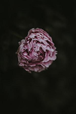 可愛寶貝