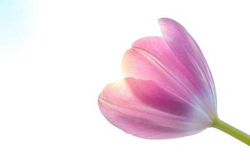 捕魚大咖應(yīng)用Store