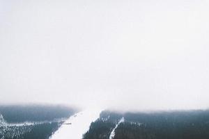 阿颯颯
