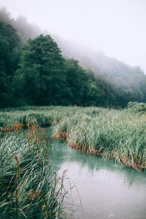 紫冰凌澈