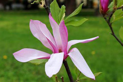 彩掌柜購(gòu)彩大廳大發(fā)介紹指導(dǎo)