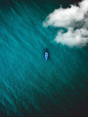海之燕