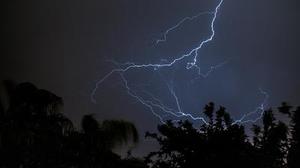 雷伊￥
