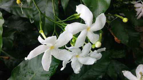 秒速pk10的優(yōu)勢(shì)應(yīng)用