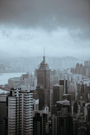 周旭的
