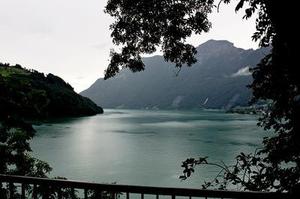 粉色草地