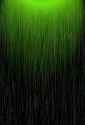 馮樂(lè)樂(lè)