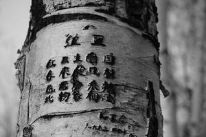 黃山之巔