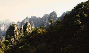 岢苡諎嗎