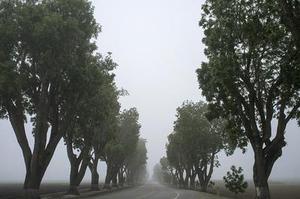 周林雪瑩