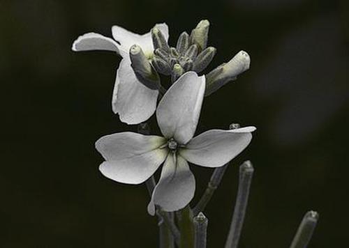 愛(ài)彩彩網(wǎng)官方版更新