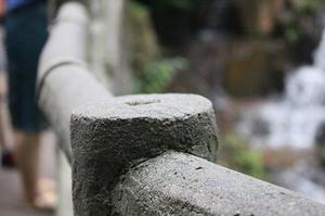 袁紹瑜