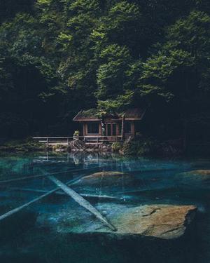 劉曉曉