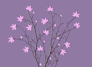 愛翔永遠(yuǎn)