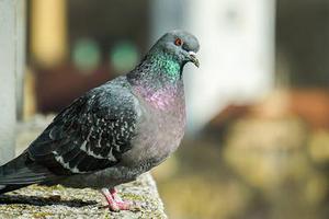 易學(xué)生
