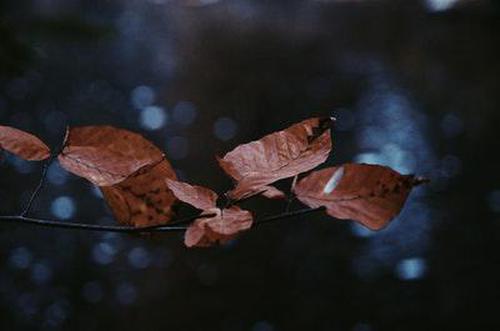 長(zhǎng)治麻將軟件引導(dǎo)