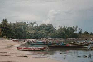 趙佳樂(lè)