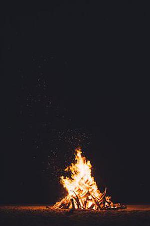 呼喊虎虎