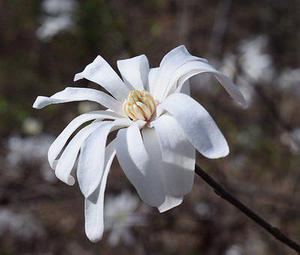 預(yù)測(cè)未來