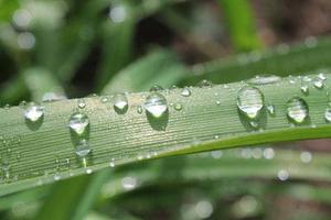 馨雨欣愿