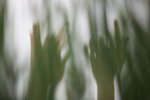 無(wú)敵超人