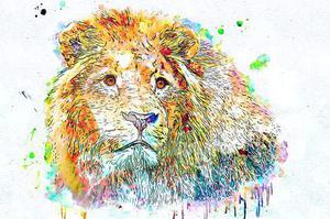 獨(dú)孤劍