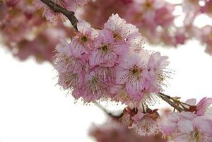 湖區(qū)脾氣