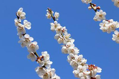 幸運(yùn)彩票3550安全更新