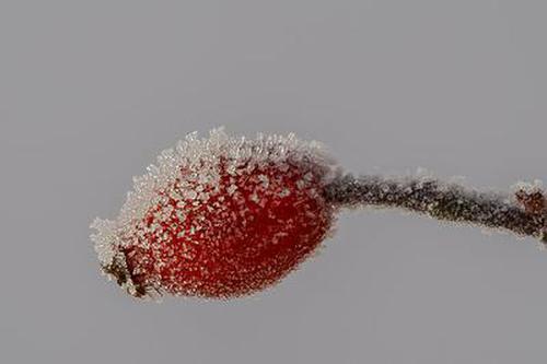 歡樂炸金花 指導(dǎo)玩家